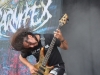 Carnifex