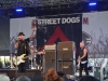 Street Dogs